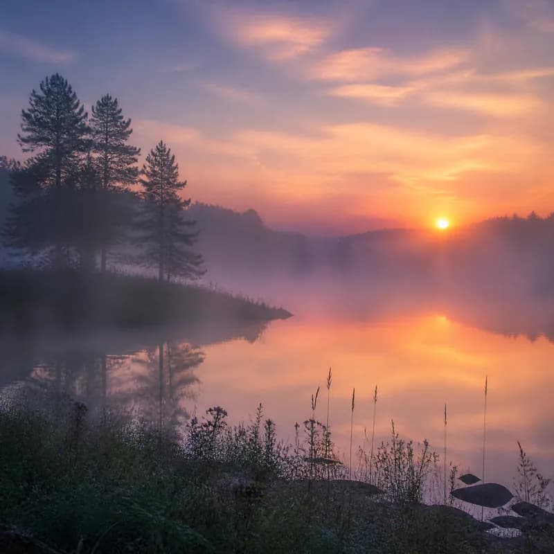 Misty Dawn